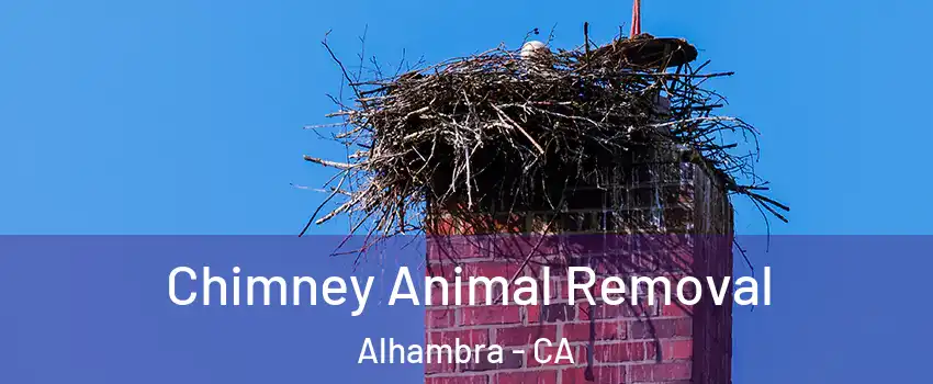 Chimney Animal Removal Alhambra - CA